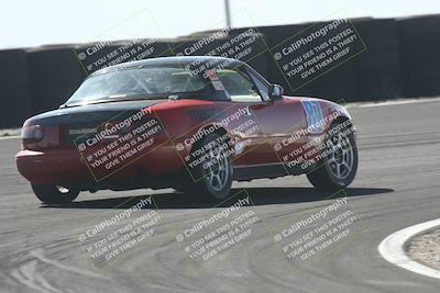 media/Feb-23-2025-CalClub SCCA (Sun) [[bfce4a12aa]]/Group 2/Race Turn 6/